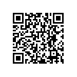 RNCF1206BTE9R53 QRCode