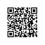 RNCF1206DTE1R13 QRCode