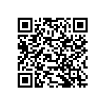 RNCF2512BKE102K QRCode