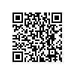 RNCF2512BKE2M20 QRCode