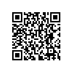 RNCF2512BKE383K QRCode