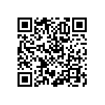 RNCF2512BTE13K0 QRCode