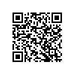 RNCF2512BTE16R9 QRCode