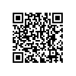 RNCF2512BTE29R4 QRCode