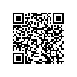 RNCF2512BTE3K24 QRCode