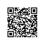 RNCF2512DTC17K8 QRCode