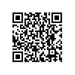 RNCF2512DTC4K64 QRCode