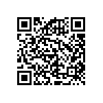 RNCF2512DTC9R53 QRCode