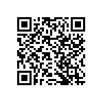 RNCF2512DTE13K3 QRCode