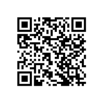 RNCF2512DTE29R4 QRCode