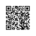 RNCF2512DTE348K QRCode