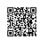 RNCF2512DTE3K30 QRCode