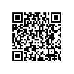 RNCF2512DTE93R1 QRCode