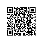 RNCP0805FTD301R QRCode