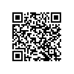 RNCS1206BKE9K09 QRCode