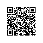 RNR55H2873BSRSL QRCode