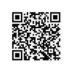 RNR60H1101FSRSL QRCode