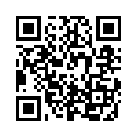 RP1E100RPTR QRCode