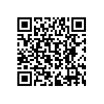 RPE5C2A1R2C2P1B03B QRCode