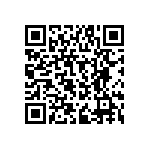 RPE5C2A6R2C2P1B03B QRCode