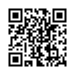 RSA30DTKT QRCode