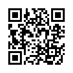 RSA44DTKT-S288 QRCode