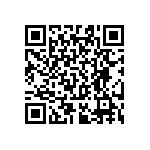 RT0603BRC07300RL QRCode