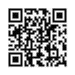 RT062028PNH QRCode