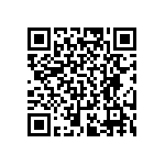 RT0805BRD073K24L QRCode