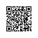 RT1206BRB07294RL QRCode