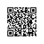 RT1206BRC0713R3L QRCode