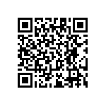 RT1206BRC0719R1L QRCode