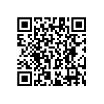 RT1206BRC071K13L QRCode