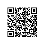 RT1206BRC07309RL QRCode