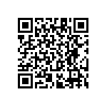 RT1206BRC073K01L QRCode