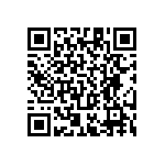 RT1206BRC074K02L QRCode