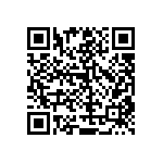 RT1206BRD07309KL QRCode