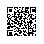 RT1206BRD0768R1L QRCode