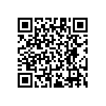 RT1206BRD0793R1L QRCode