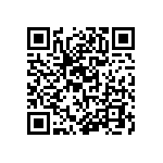 RT1206BRE07154KL QRCode