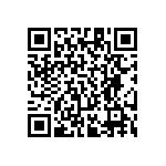 RT1206BRE0724R3L QRCode