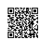 RT1206BRE0745R3L QRCode