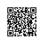 RT1206BRE07787KL QRCode