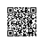 RT1206CRB07107KL QRCode