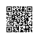 RT1206CRB07133RL QRCode