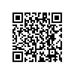 RT1206CRB0713R3L QRCode