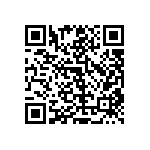 RT1206CRB0716K2L QRCode