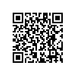 RT1206CRB071K13L QRCode