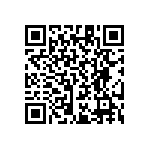 RT1206CRB071K33L QRCode