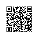 RT1206CRB071K62L QRCode